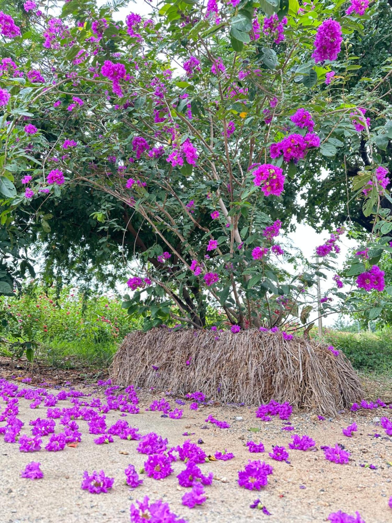 Ban Suweena Uthai Thani Exteriér fotografie
